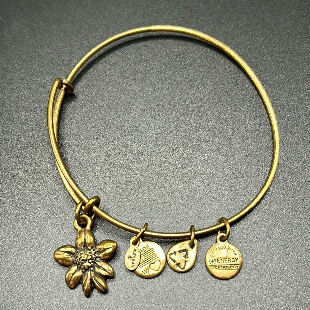 Alex and Ani Apple Blossom Sacred Garden Rafaelian Gold Bangle Bracelet
